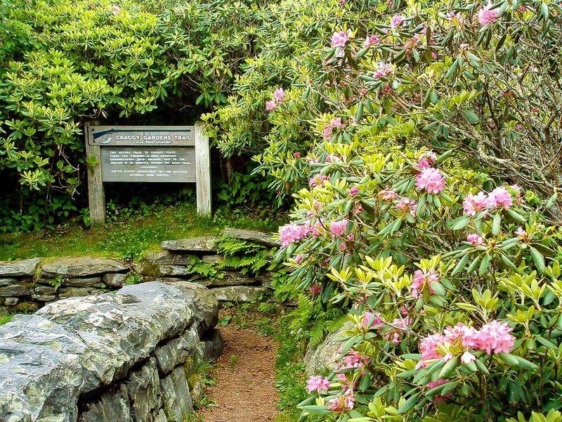 Craggy Gardens