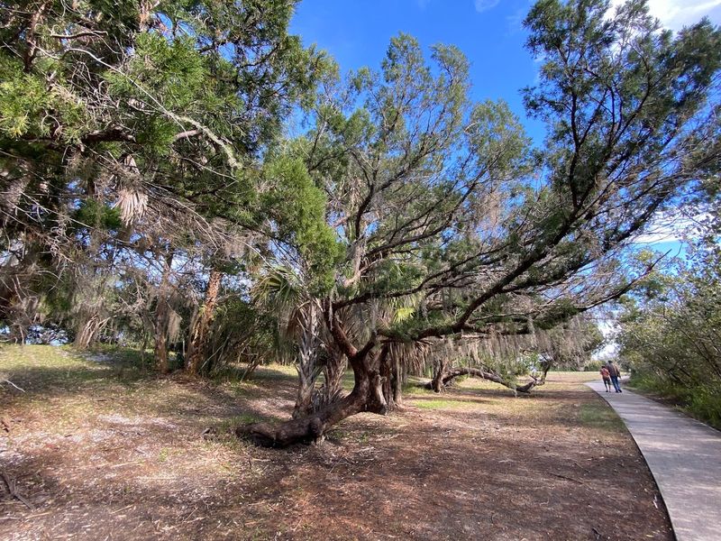 Seminole Rest Historic Site (Oak Hill)