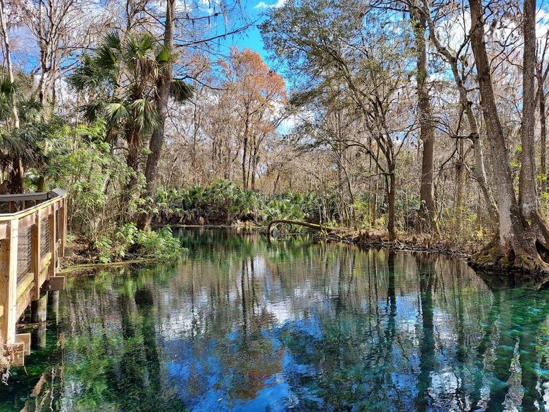 Silver Springs State Park