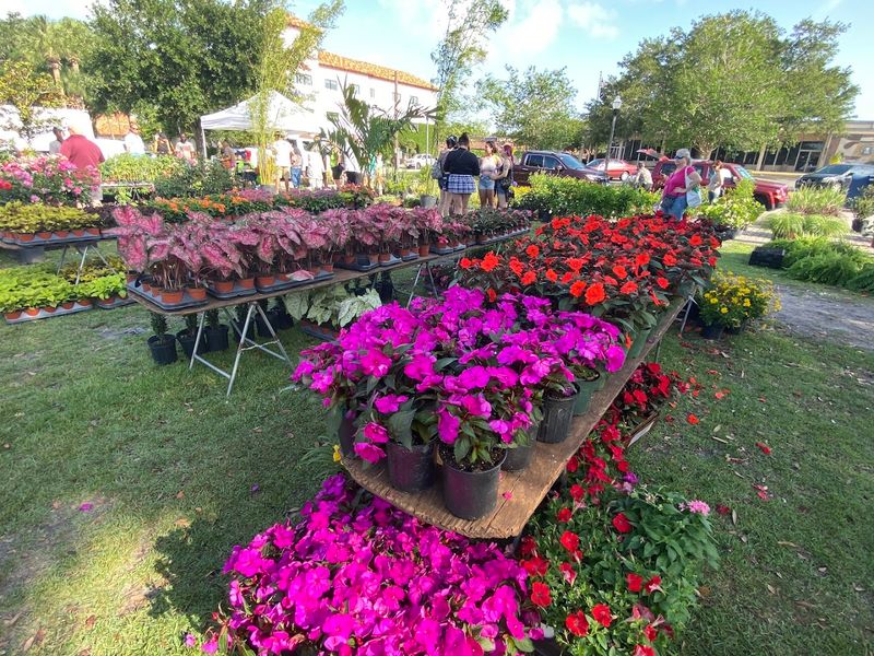 Winter Park Farmers' Market (Winter Park)