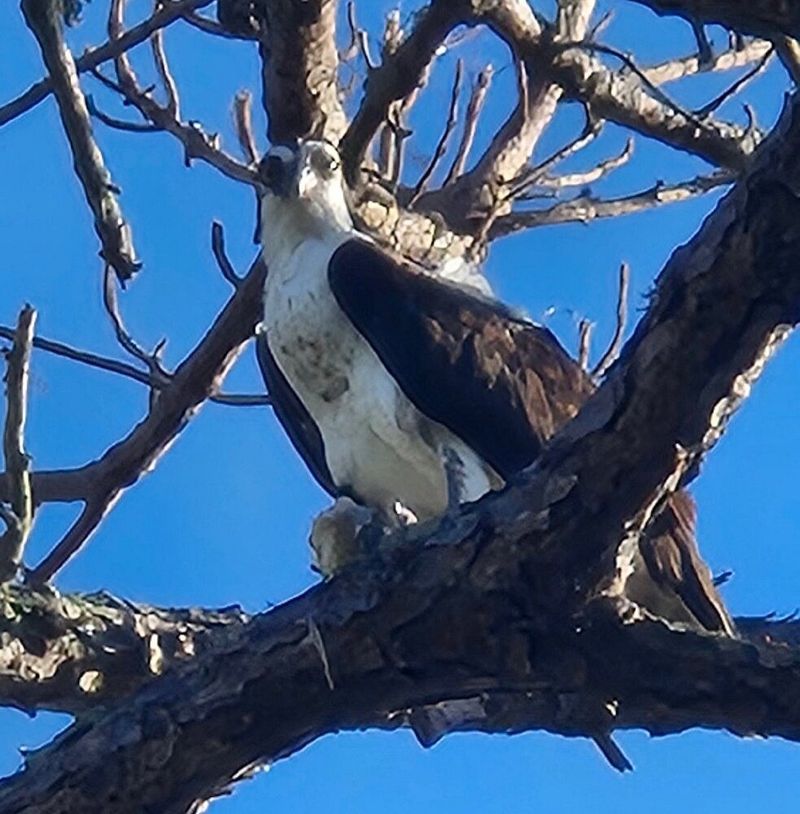 Exceptional Birdwatching Paradise