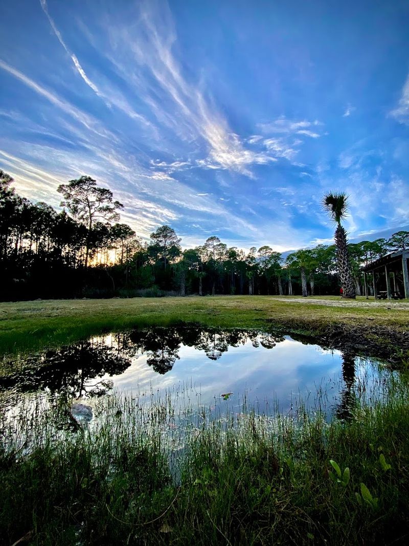 Panacea Mineral Springs (Panacea)