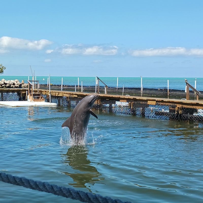 Wildlife Encounters Happen When You Least Expect Them