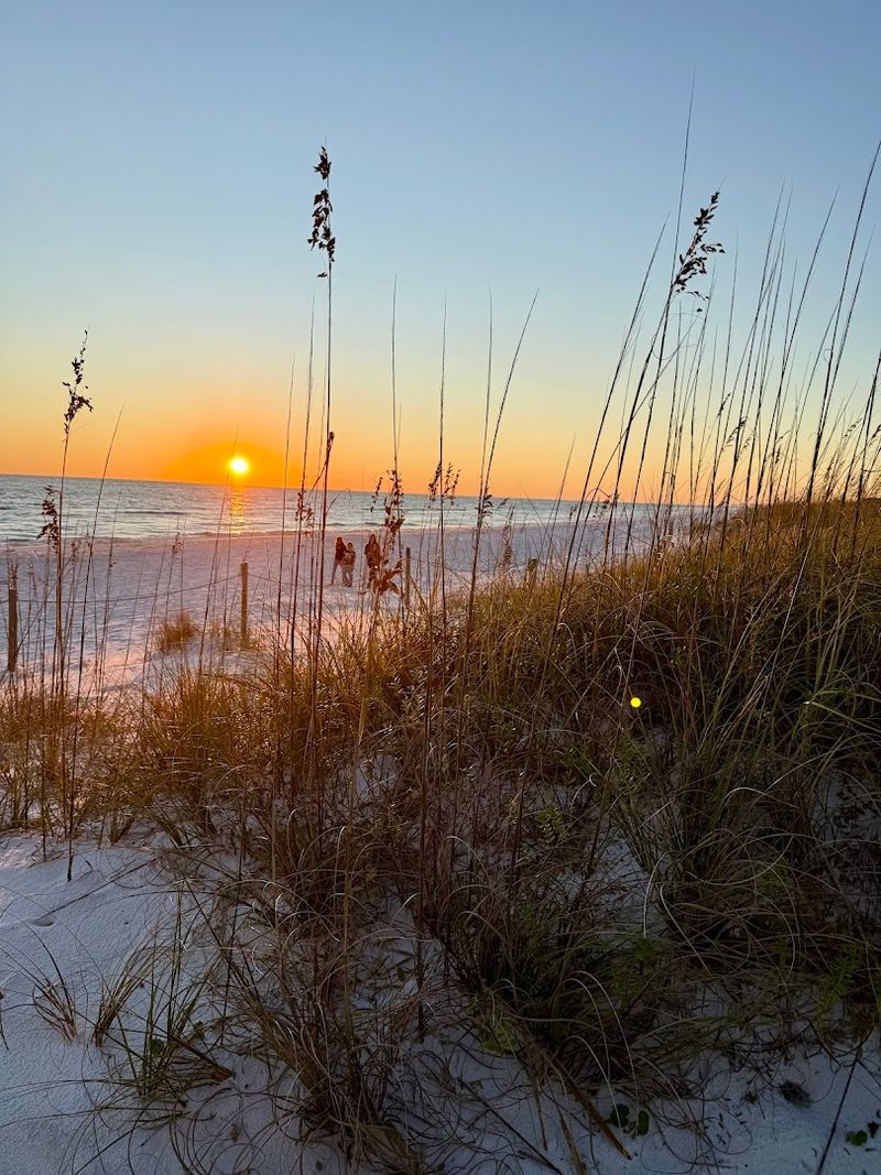 Gulf Coast Dune Trails (Grayton Beach / 30A area)