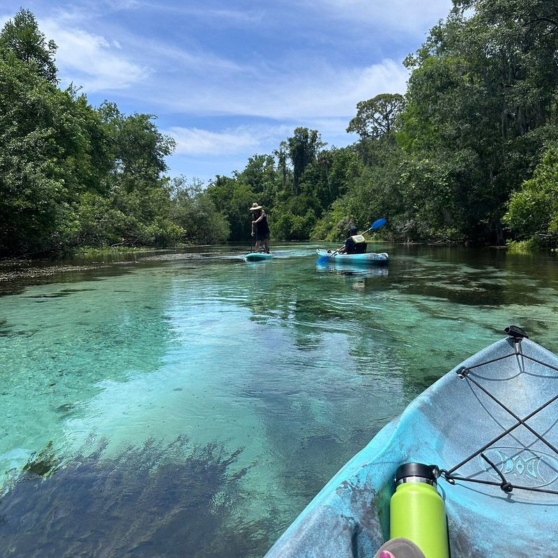 Weeki Wachee Springs / Buccaneer Bay Lazy River (Weeki Wachee)