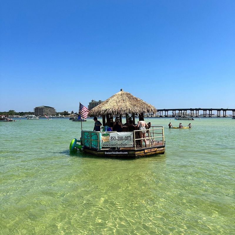 Dolphin Moments You Will Talk About