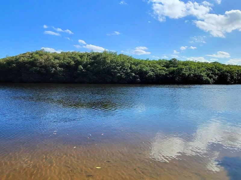 Loxahatchee River (Jupiter/Tequesta)