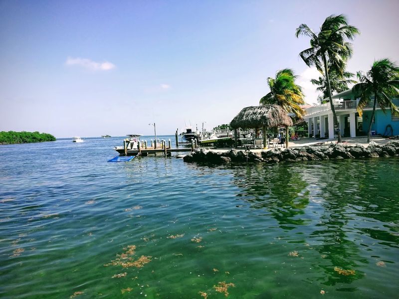 Islamorada (Islamorada)