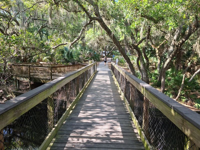 Oscar Scherer State Park: Scrub Habitat And Fossil Creek