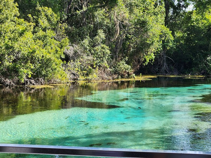 Buccaneer Bay (Weeki Wachee Springs)