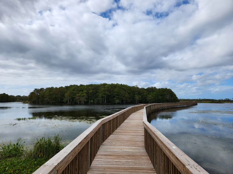 Orlando Wetlands (Christmas)