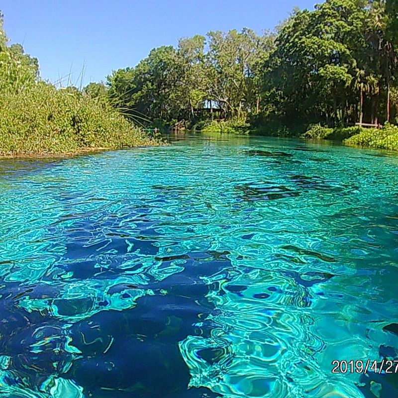 Weeki Wachee Springs