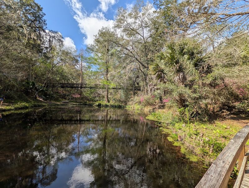 Ravine Gardens State Park Trails (Palatka)