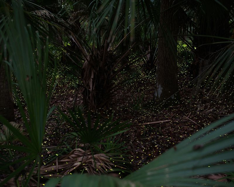 Crystal Clear Springs Create Perfect Backdrop