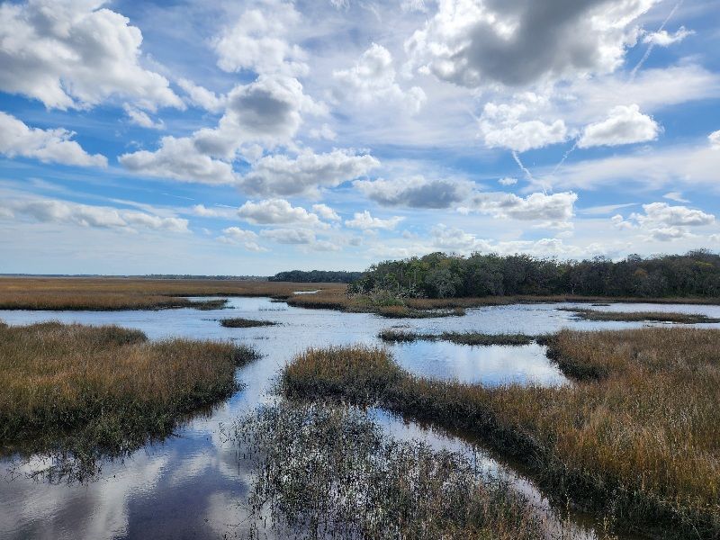 Historical Connections to Fort Caroline and Willie Brown