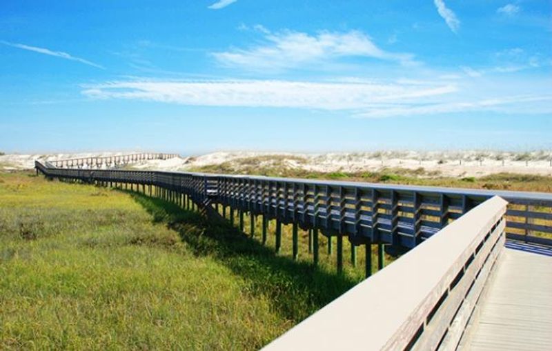 Anastasia State Park Trails (St. Augustine)