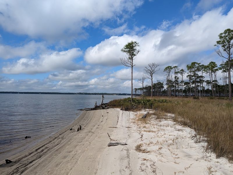 Hidden Beach Access and Bonfire Pits Most Visitors Miss