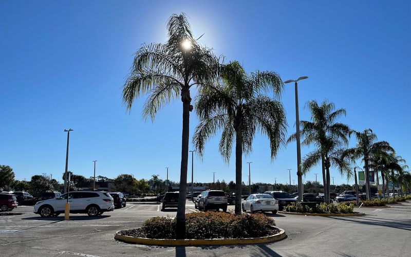 Tarpon Springs (Tampa Bay Area)