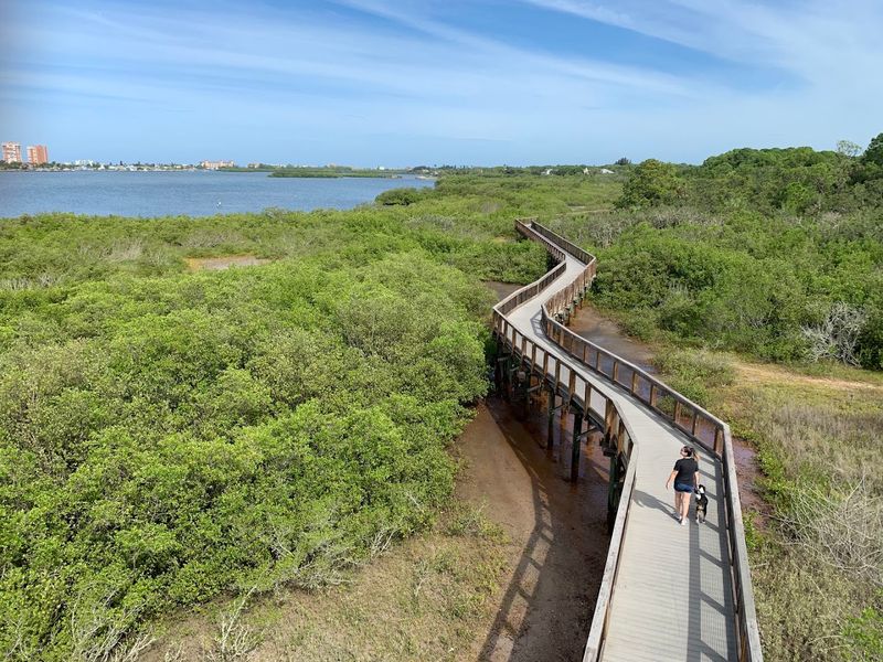 The Elevated Boardwalk Experience