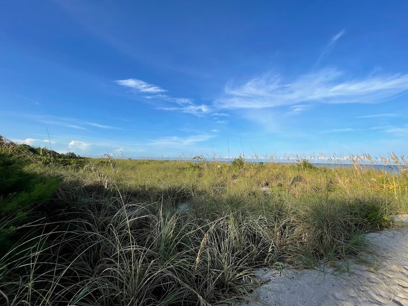 More Than Just a Pretty Beach