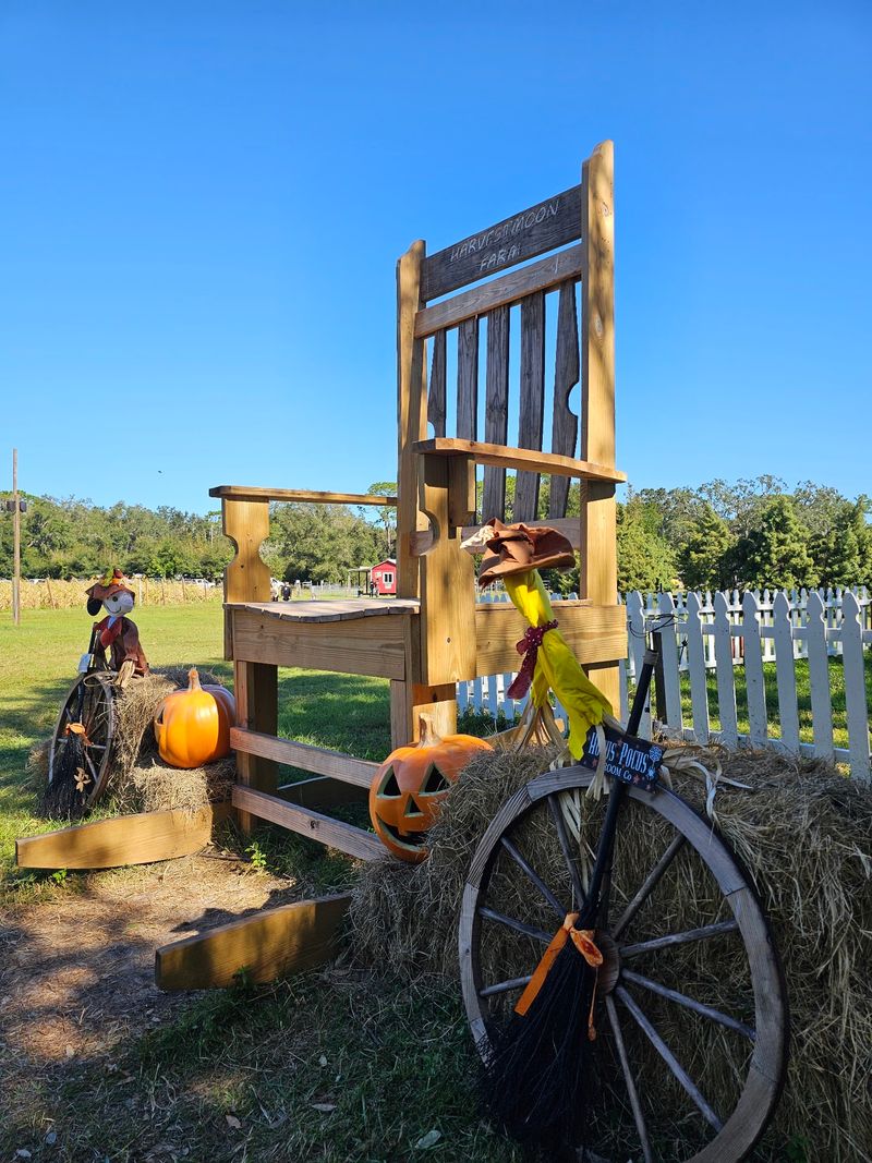 HarvestMoon Fun Farm (Masaryktown)