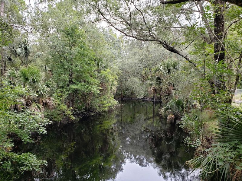 Hampton Springs (Perry)