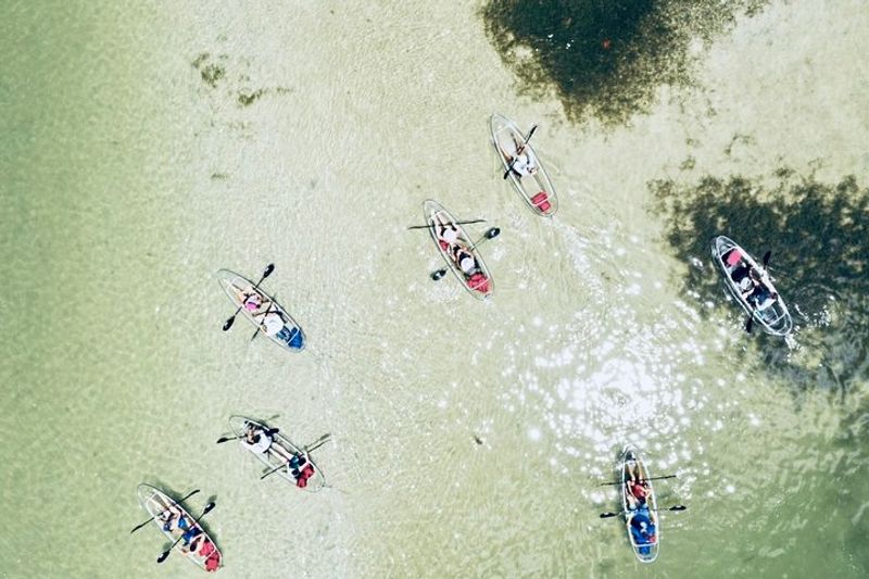 Spot Dolphins, Manatees, and Incredible Bird Species
