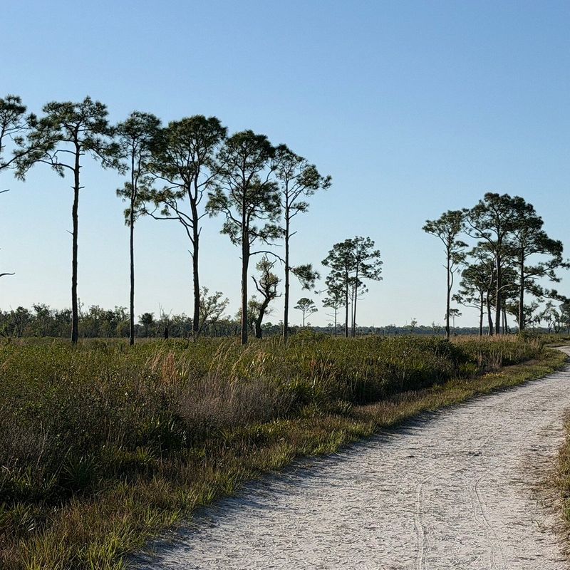 Myakka River State Park (Sarasota)