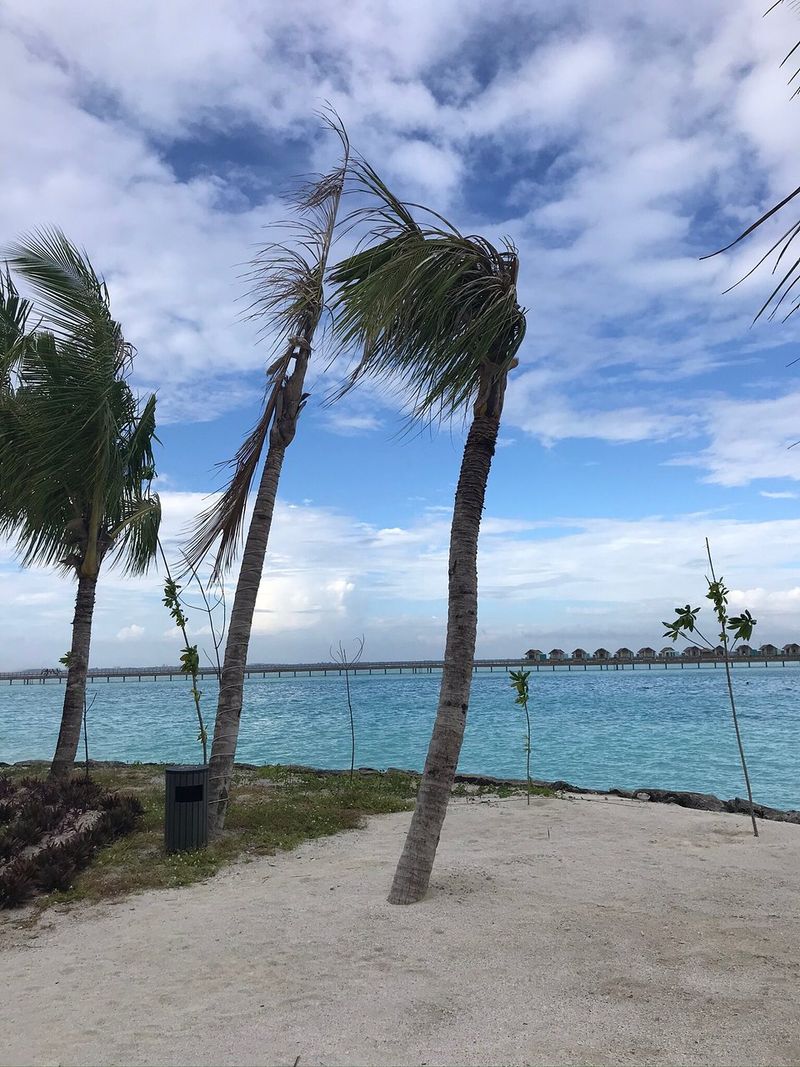 Hurricane Season Is Underway, So Watch The Forecast