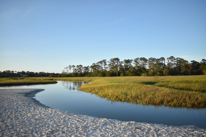 Amelia Island State Park (Amelia Island)