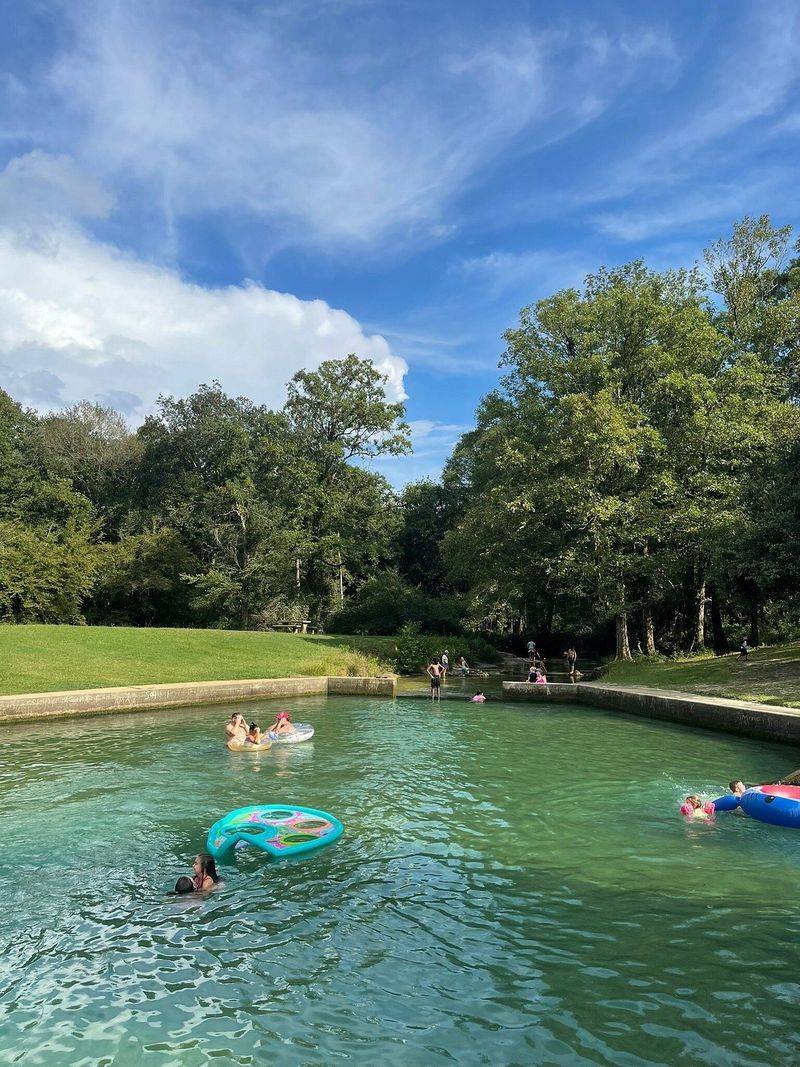 Blue Spring State Park (Orange City)