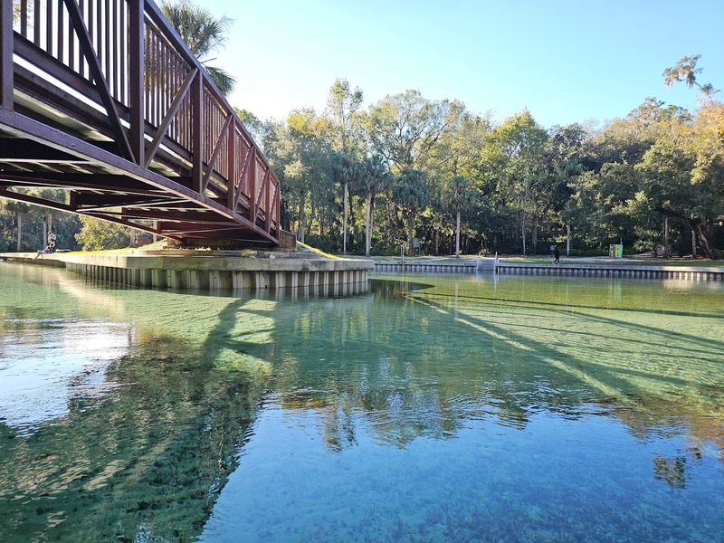 Rock Springs at Kelly Park (Apopka)