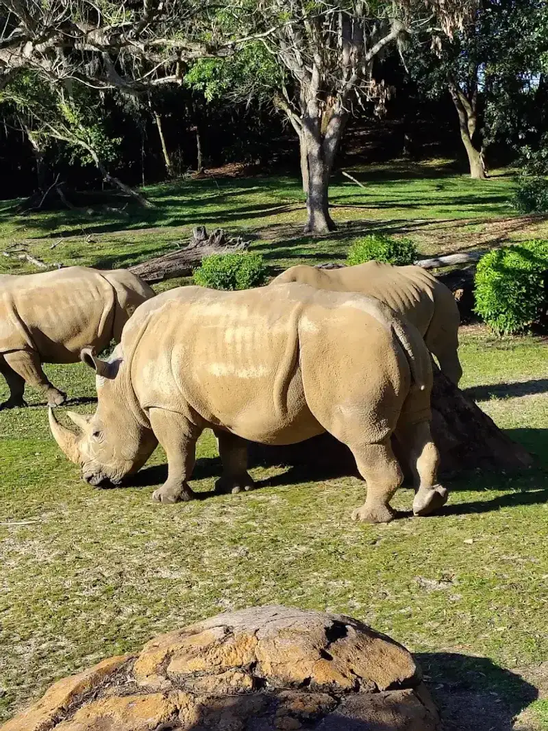 Scenic Viewing Area and Photo Opportunities