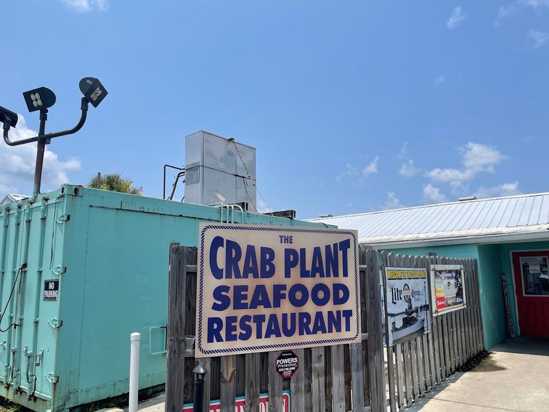 The Crab Plant (Crystal River)