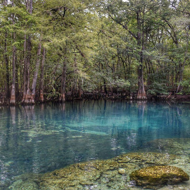 Manatee Springs State Park (Chiefland)
