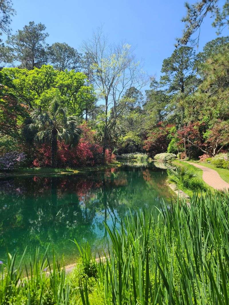 Peak Bloom Season Transforms the Gardens Into a Floral Wonderland