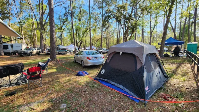 Treehouse Camping That Takes You Off The Ground