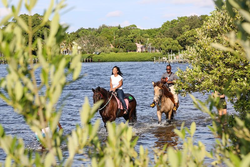 Horse Skiing Behind Your Mount