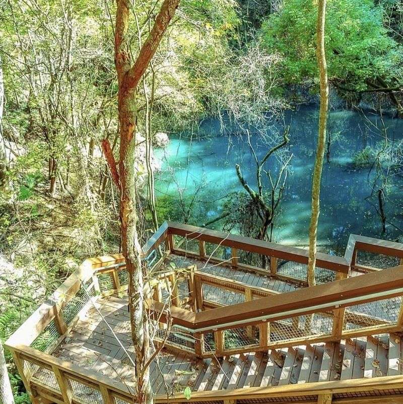 Devil's Millhopper Geological State Park (Gainesville)