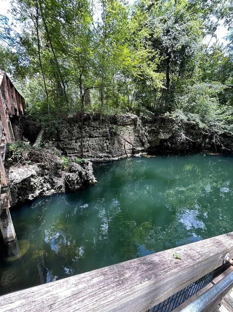 Peacock Springs State Park (Luraville)