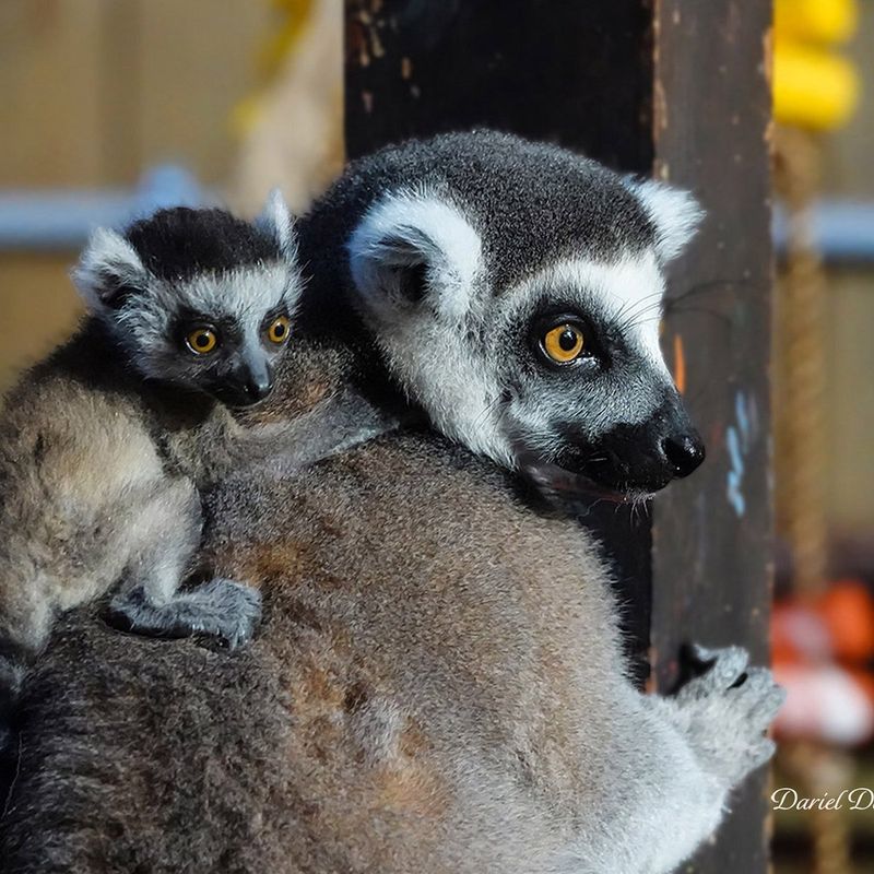 VIP Behind-the-Scenes Tour