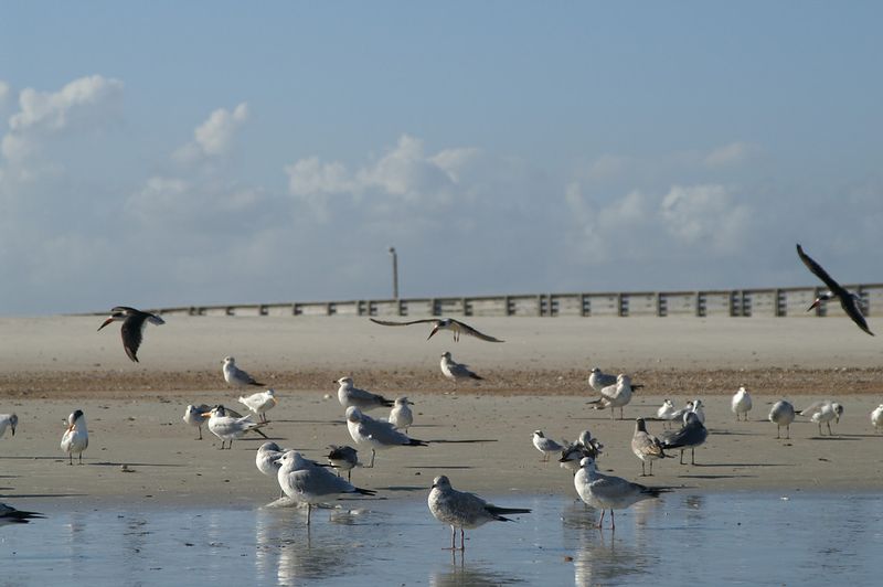 The Quiet That Modern Florida Forgot