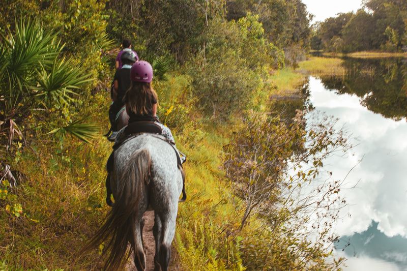 In The Breeze Ranch (Tampa)