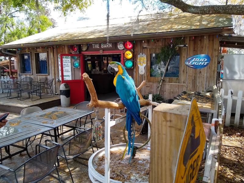 Gift Shop with Souvenirs to Remember Your Visit