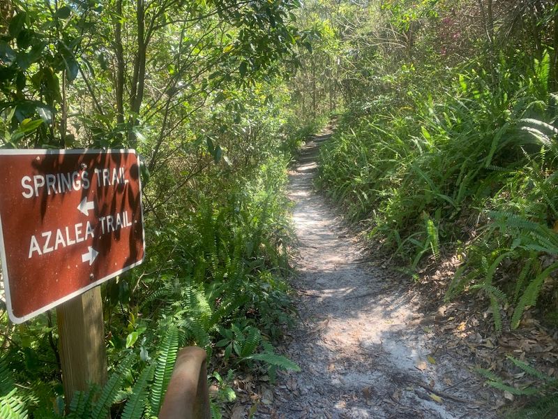 Azalea Trail at Ravine Gardens State Park
