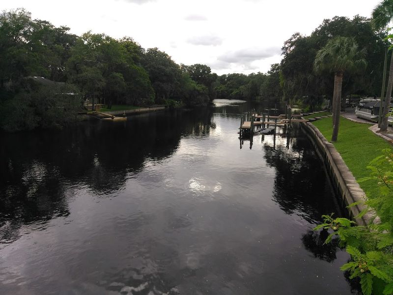 Sulphur Springs (Tampa)