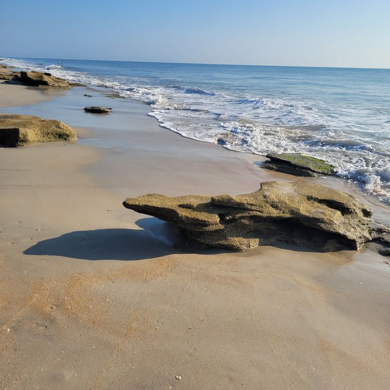 Washington Oaks Gardens State Park Beach (Palm Coast)