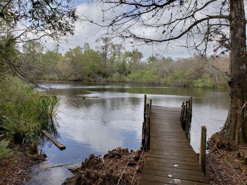 Fakahatchee Strand Preserve State Park