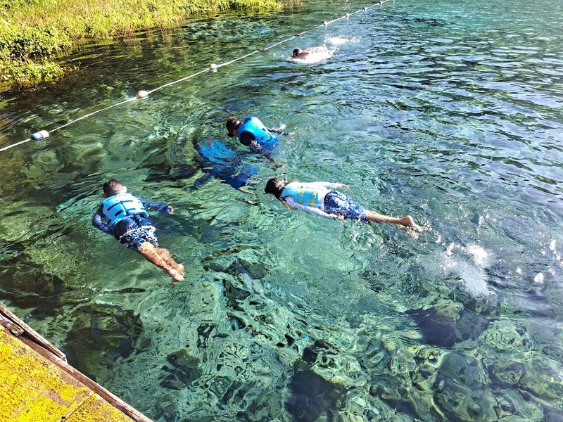 Rainbow Springs State Park, Dunnellon