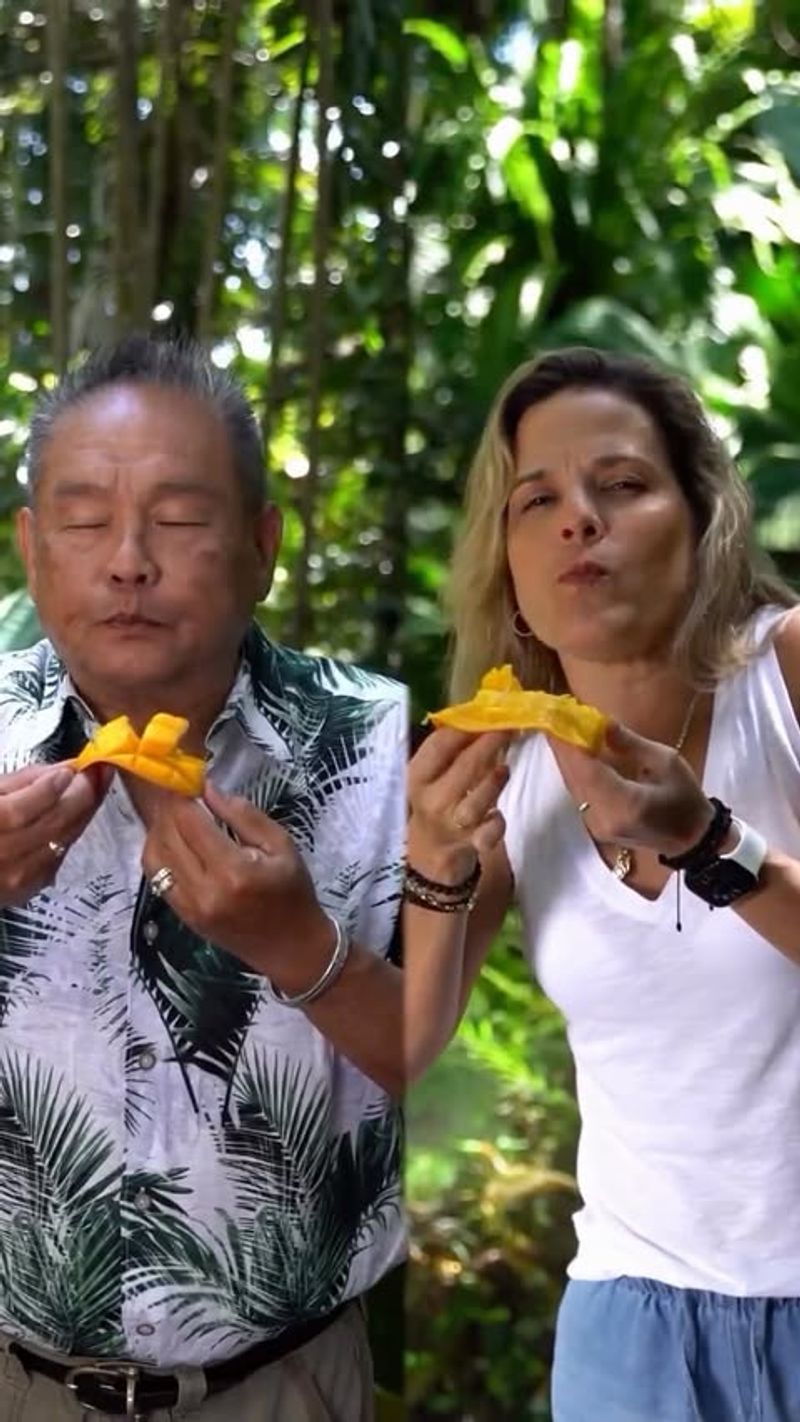 Premium Mango Lounges and Cocktail Experiences